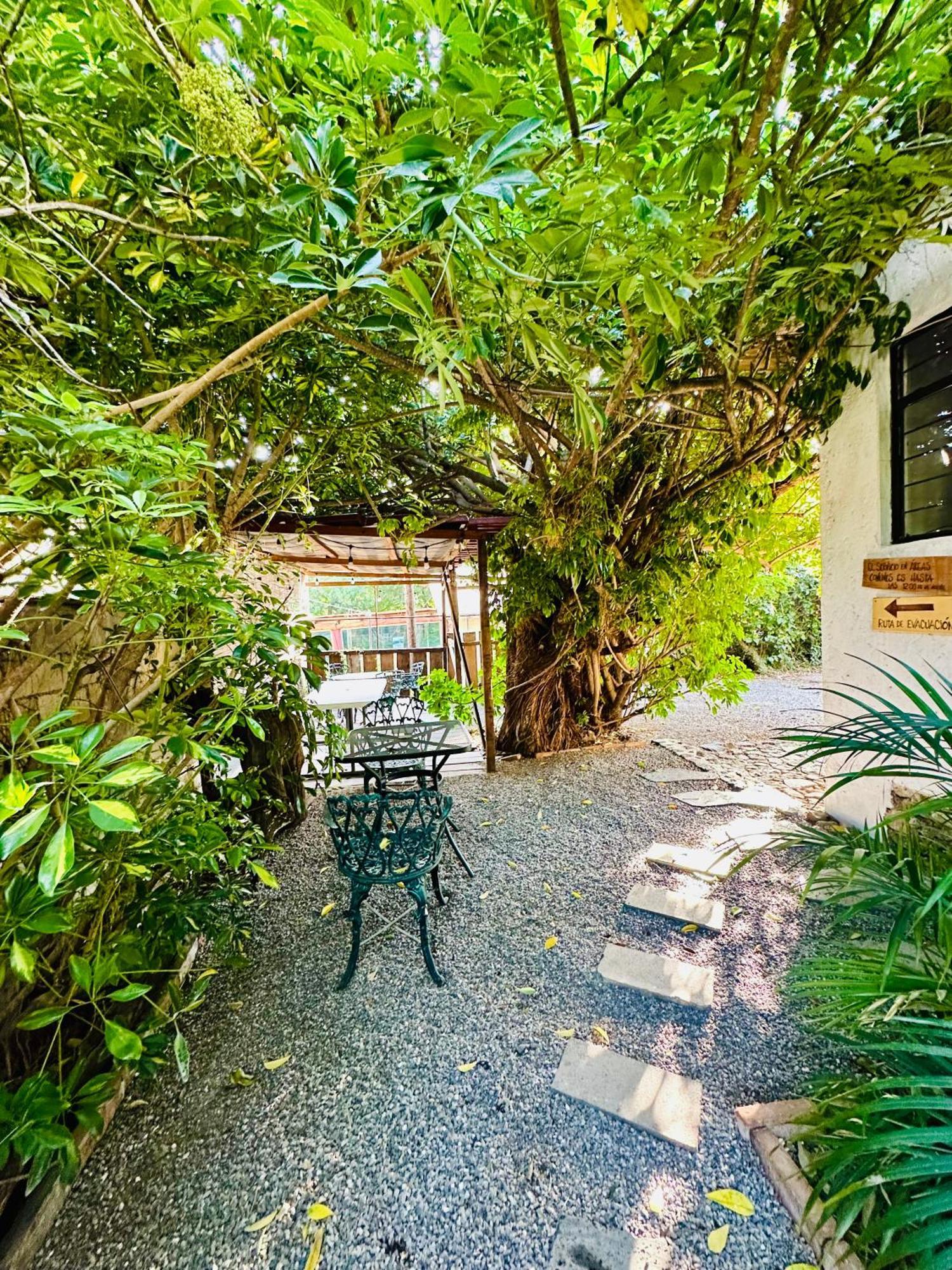 Posada Teopanco Tepoztlán Zewnętrze zdjęcie